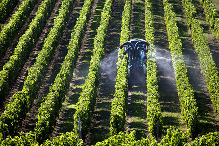 Traitement phytosanitaire d'un vignoble en Gironde. Photo : Philippe Roy / Epicureans