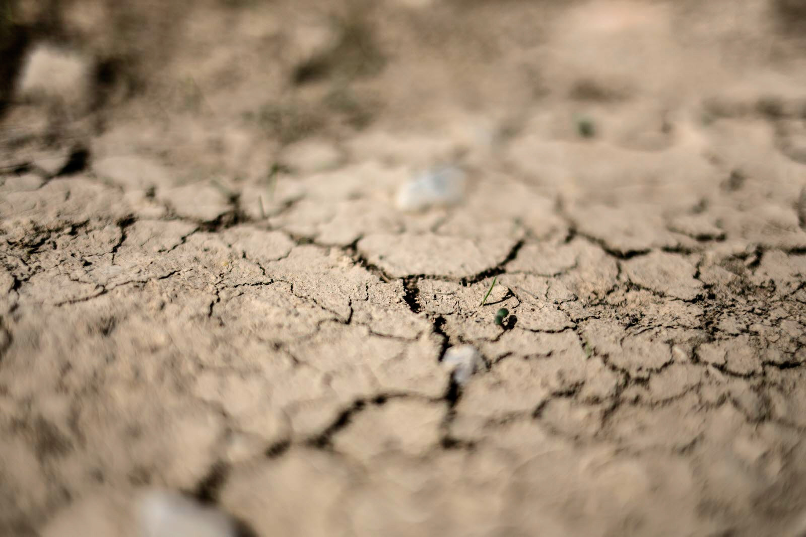 Commission de l'aménagement du territoire et du développement durable - Audition de la Présidente de Météo France