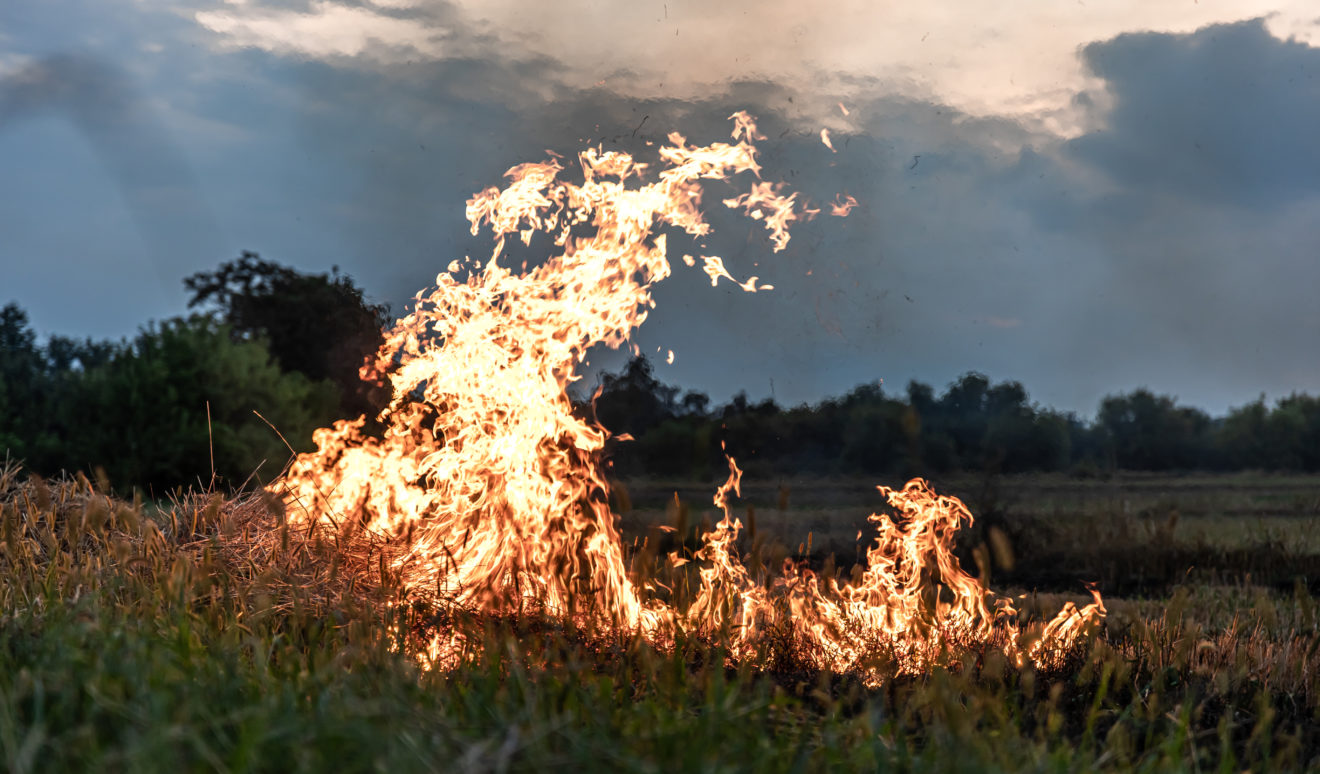 Lutte contre les incendies : comment s'adapter à la réalité de la menace ?