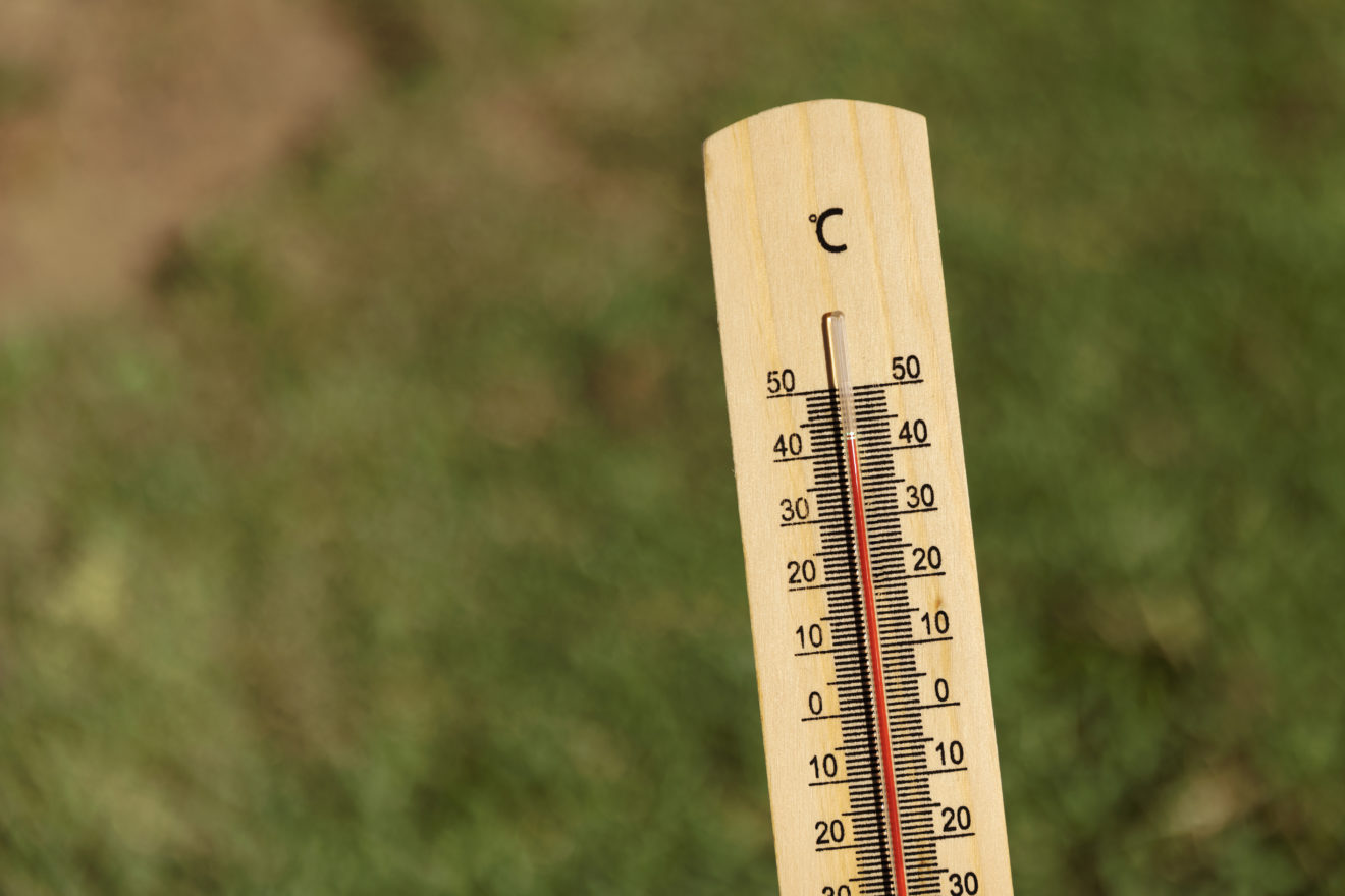 Interview - Canicule, dérèglement climatique : l'urgence d'armer nos territoires pour agir